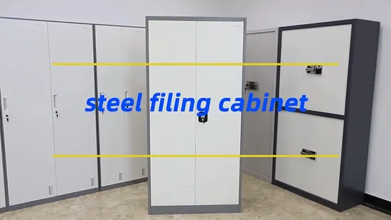 Cheap Price Iron Document Cupboard Office Storage Filing 2 Door Metal File Cabinet